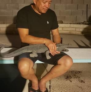 Meet your Posher, Dodie